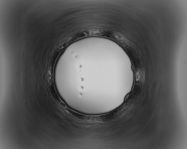 X0000083531011200703021546