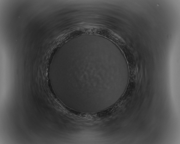 X0000083531013200703021546