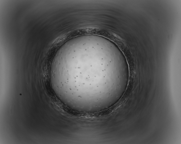 X0000083531014200703021546