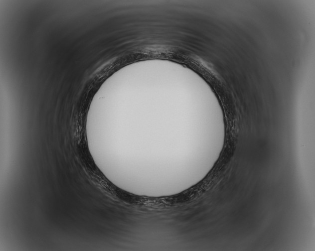 X0000083531015200703021546