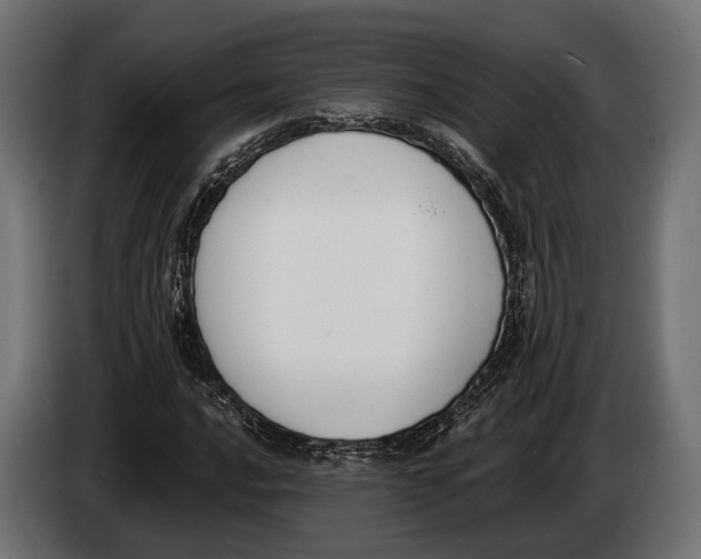 X0000083531016200703021546