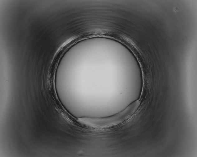 X0000083531018200703021546