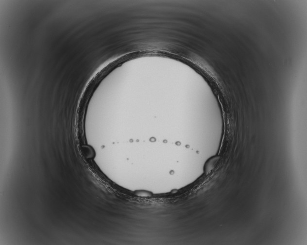 X0000083531020200703021546