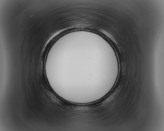 X0000083531021200703021546