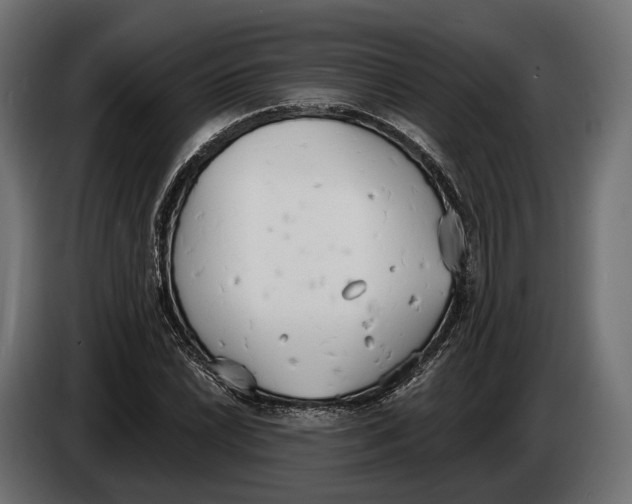 X0000083531022200703021546