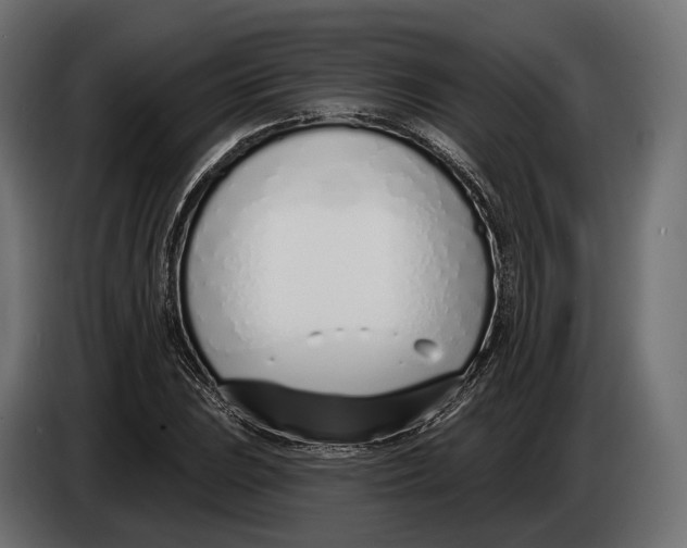 X0000083531023200703021546