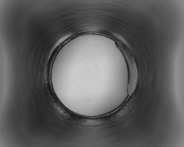 X0000083531026200703021546