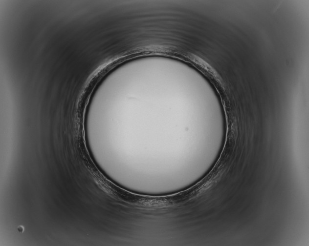 X0000083531027200703021546