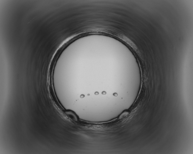 X0000083531028200703021546