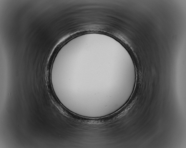 X0000083531029200703021547