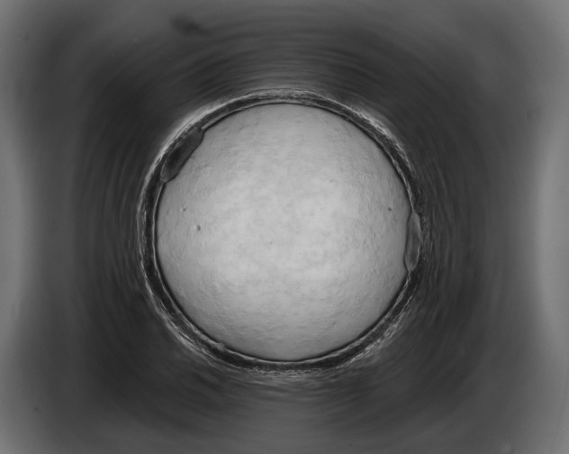 X0000083531030200703021547