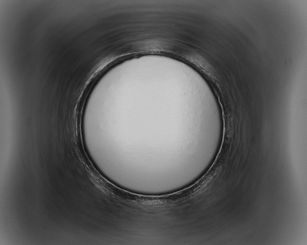 X0000083531031200703021547