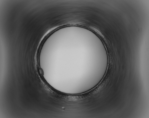 X0000083531032200703021547