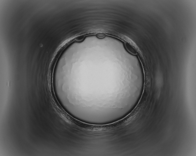 X0000083531035200703021547