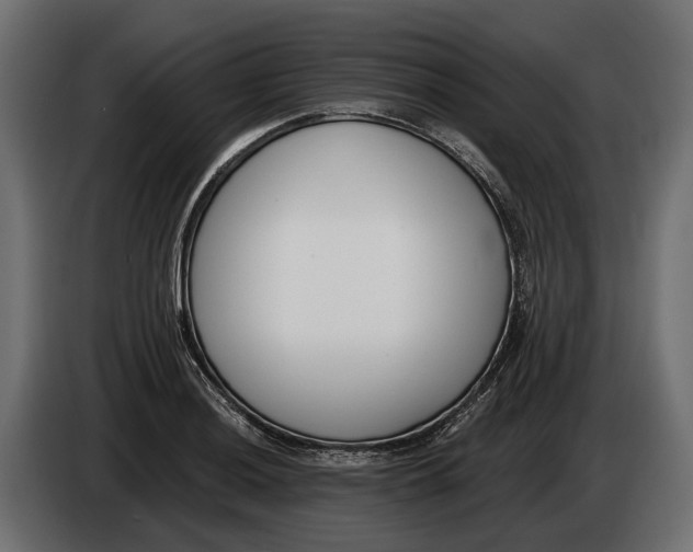 X0000083531036200703021547