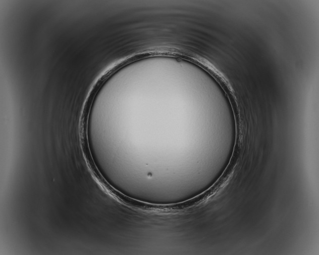 X0000083531037200703021547