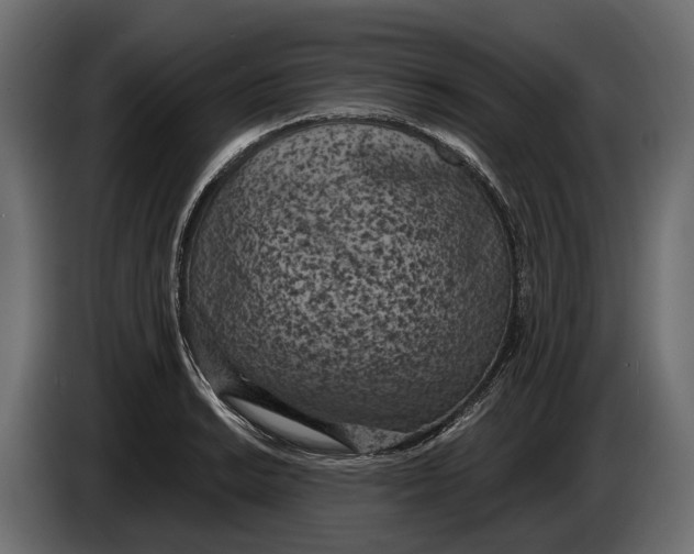 X0000083531038200703021547