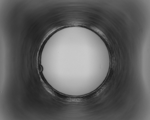 X0000083531039200703021547