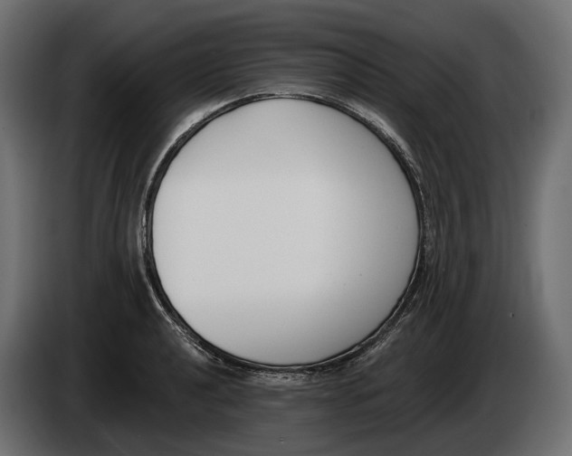 X0000083531040200703021547