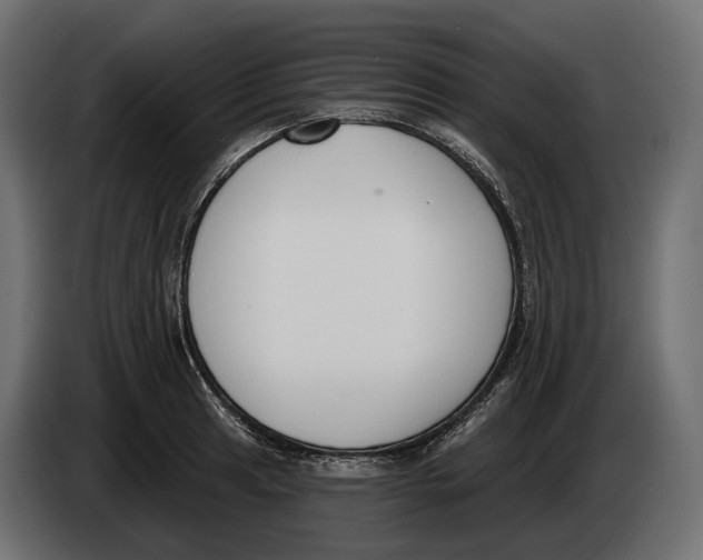 X0000083531041200703021547