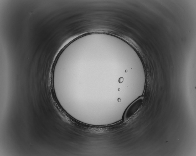 X0000083531044200703021547