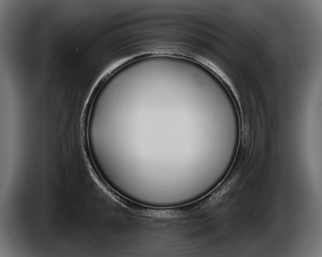 X0000083531045200703021547