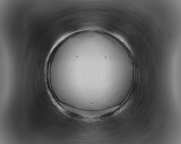 X0000083531046200703021547