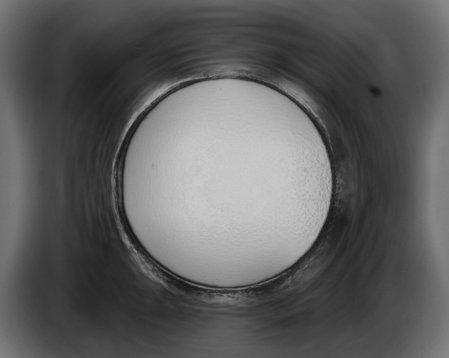 X0000083531047200703021547