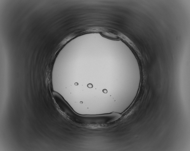 X0000083531049200703021547