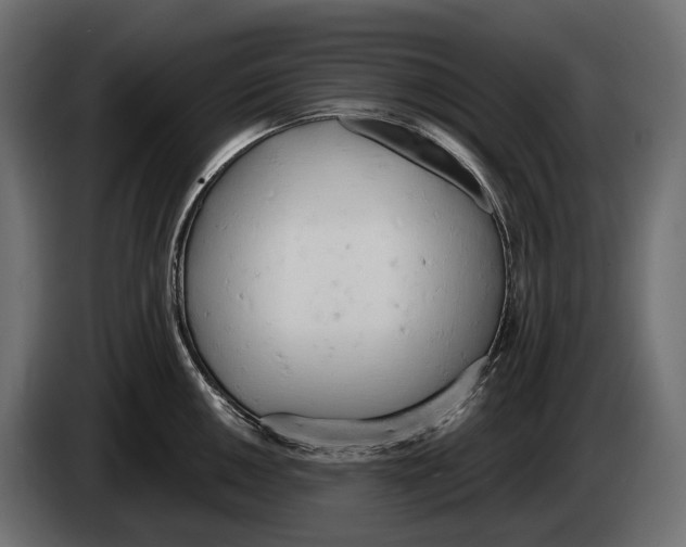 X0000083531050200703021547