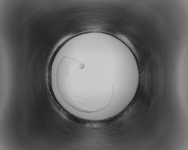 X0000083531051200703021547