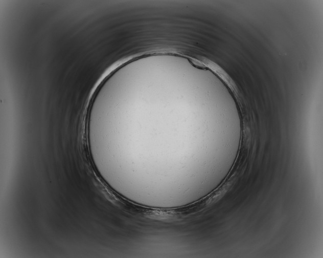 X0000083531052200703021547