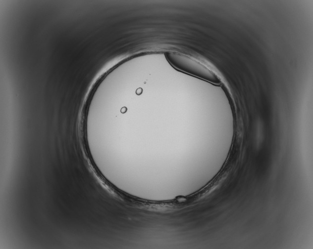 X0000083531053200703021547