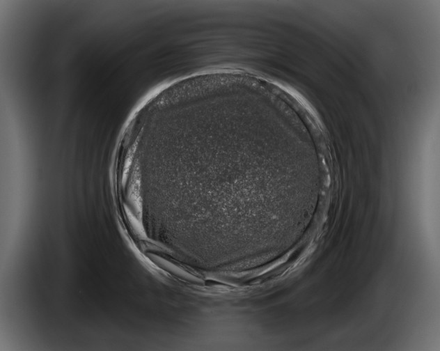 X0000083531054200703021547