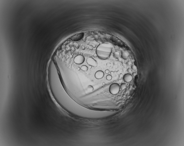 X0000083531055200703021547