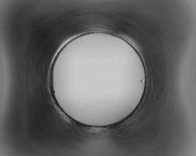 X0000083531056200703021547