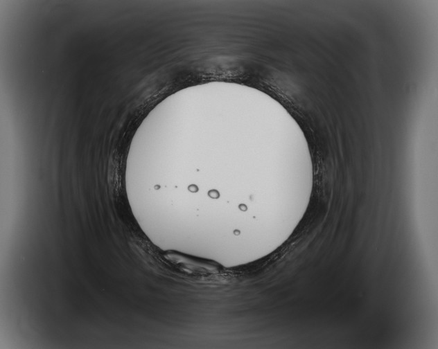 X0000083531058200703021546