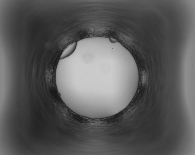 X0000083531059200703021546