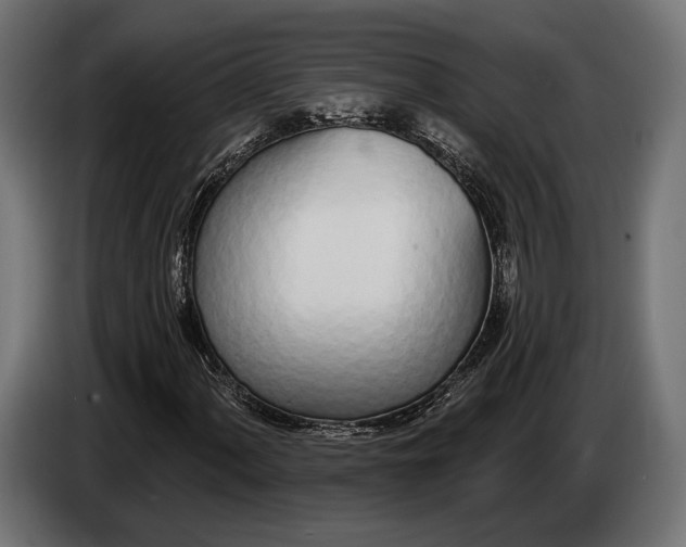 X0000083531060200703021546