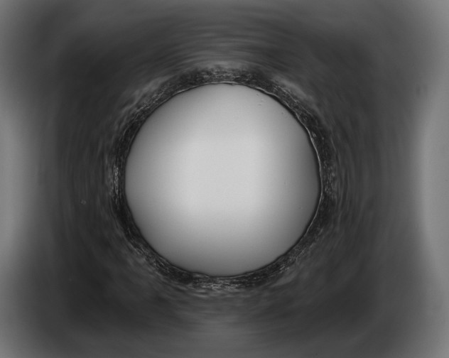 X0000083531061200703021546