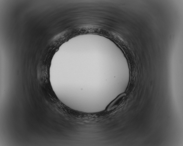 X0000083531062200703021546