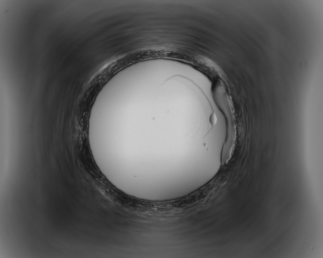 X0000083531064200703021546