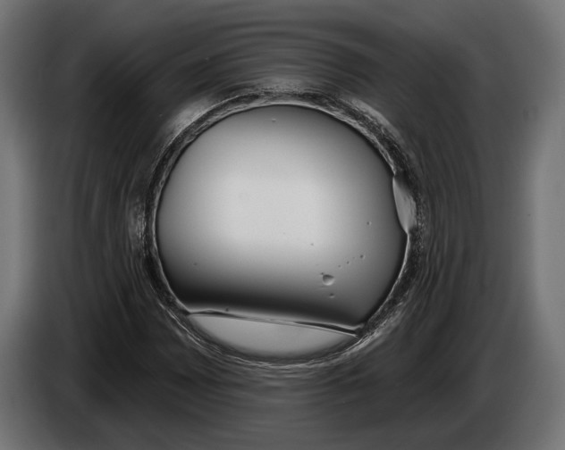 X0000083531065200703021546