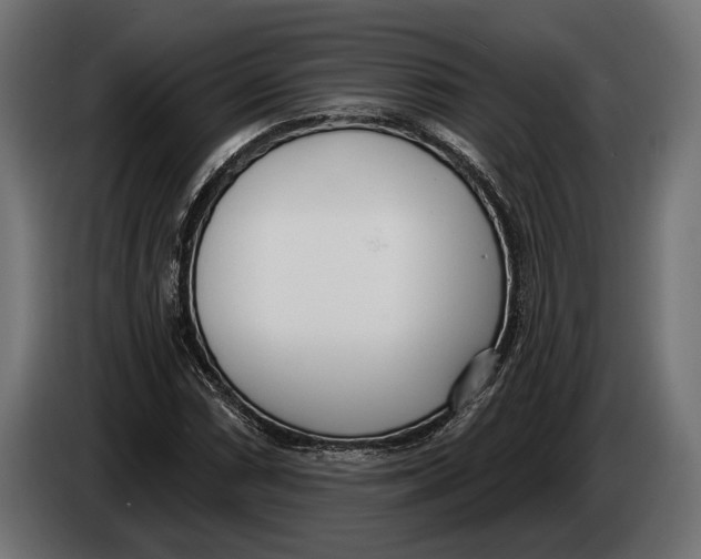 X0000083531066200703021546