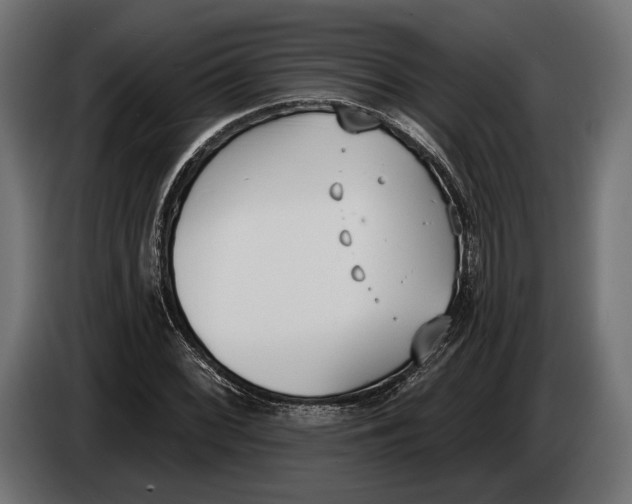 X0000083531068200703021546