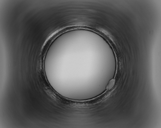 X0000083531069200703021546