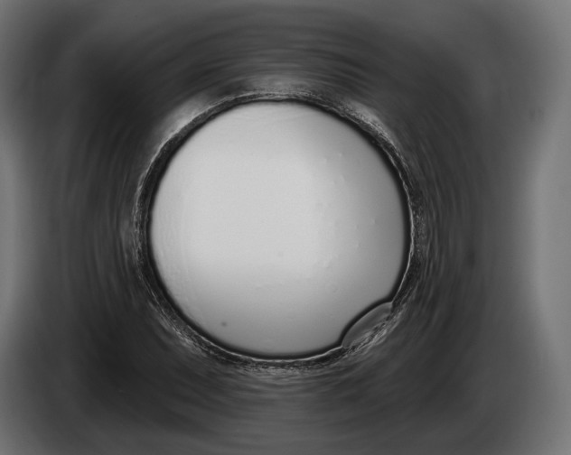 X0000083531071200703021546