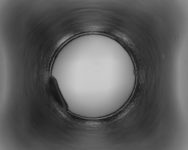 X0000083531073200703021546