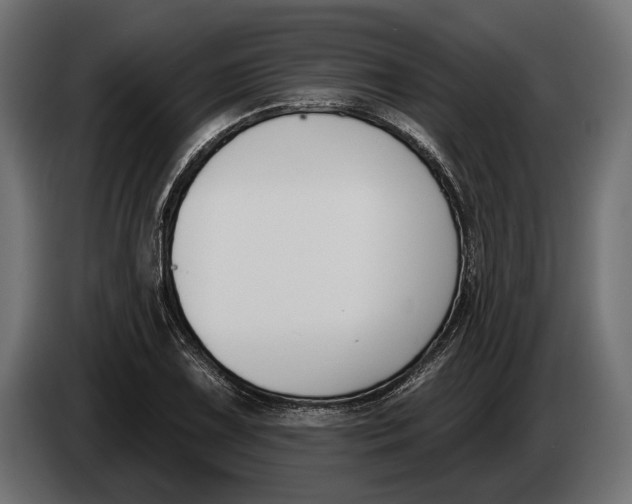 X0000083531075200703021546