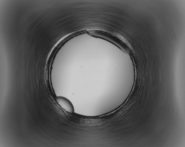 X0000083531076200703021546